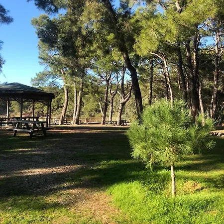 Forest Park Apartamento Alanya